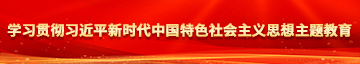 男人大鸡操操网学习贯彻习近平新时代中国特色社会主义思想主题教育